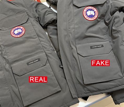 canada goose expedition fake